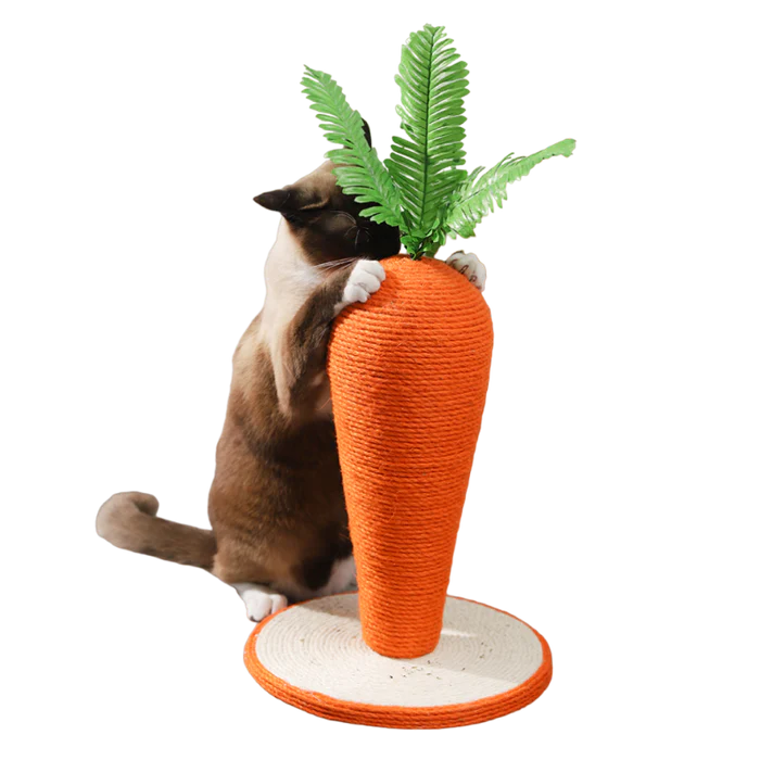 Clawsome Carrot Scratching Post - Cat Lovers Boutique