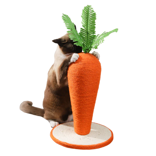 Clawsome Carrot Scratching Post - Cat Lovers Boutique