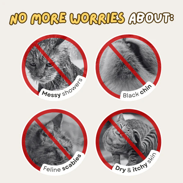 PureSkin Pet Foam - Cat Lovers Boutique