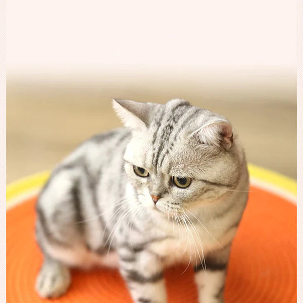 Double-Sided Cat Scratcher - Cat Lovers Boutique