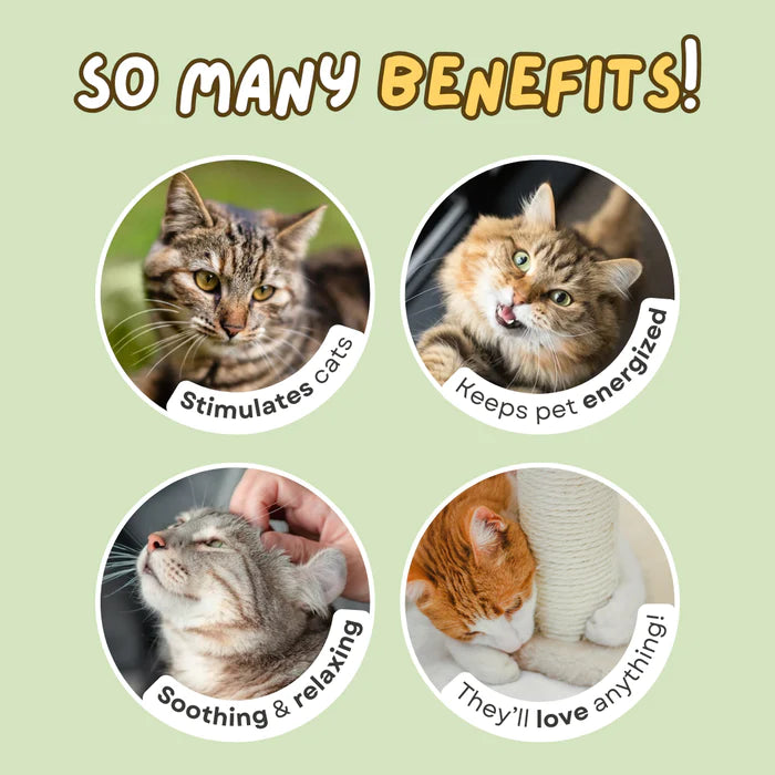 Feline Love Mist - Cat Lovers Boutique