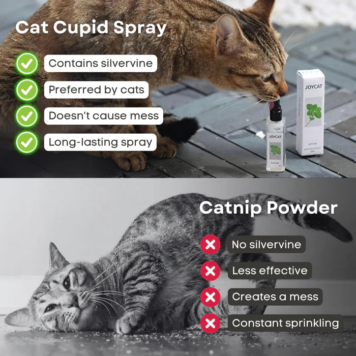 Feline Love Mist - Cat Lovers Boutique