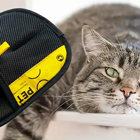 2025 Upgraded Thickened Pet Hair Removal Glove