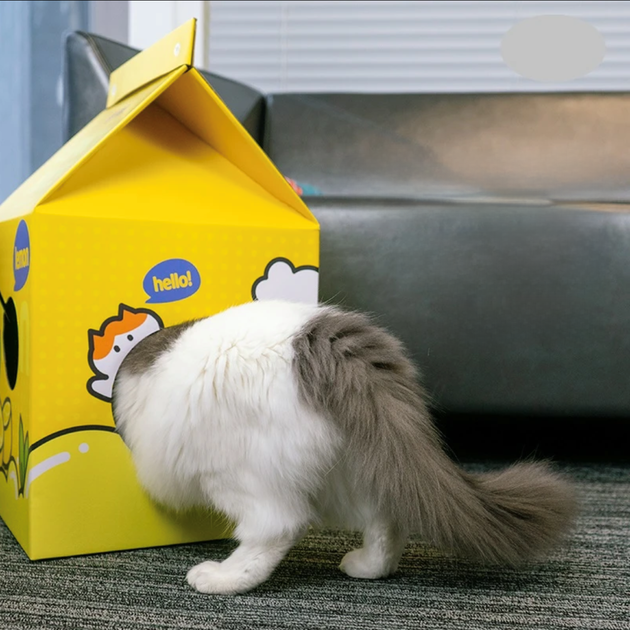 2-in-1-Katzenhaus und Kratzbaum aus Pappe