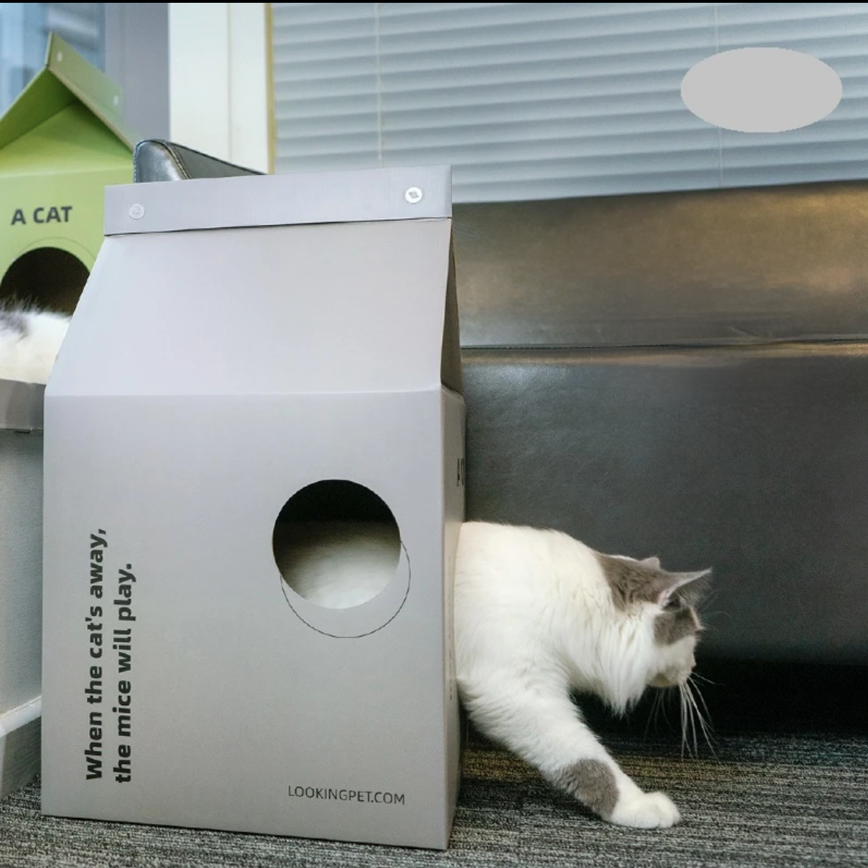 2-in-1-Katzenhaus und Kratzbaum aus Pappe