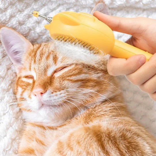 All-in-one Self-Cleaning Cat Brush & Toy - Cat Lovers Boutique