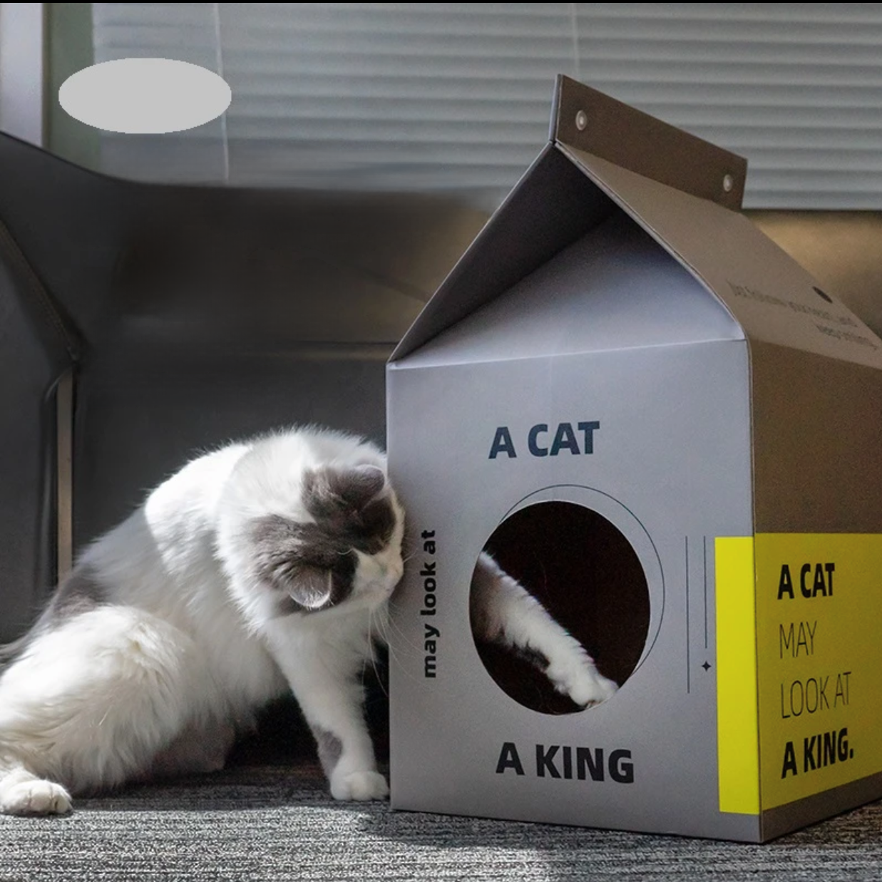 2-in-1-Katzenhaus und Kratzbaum aus Pappe