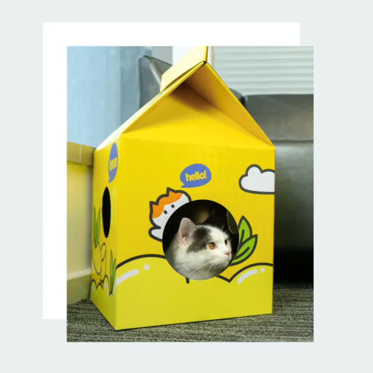 2-in-1-Katzenhaus und Kratzbaum aus Pappe