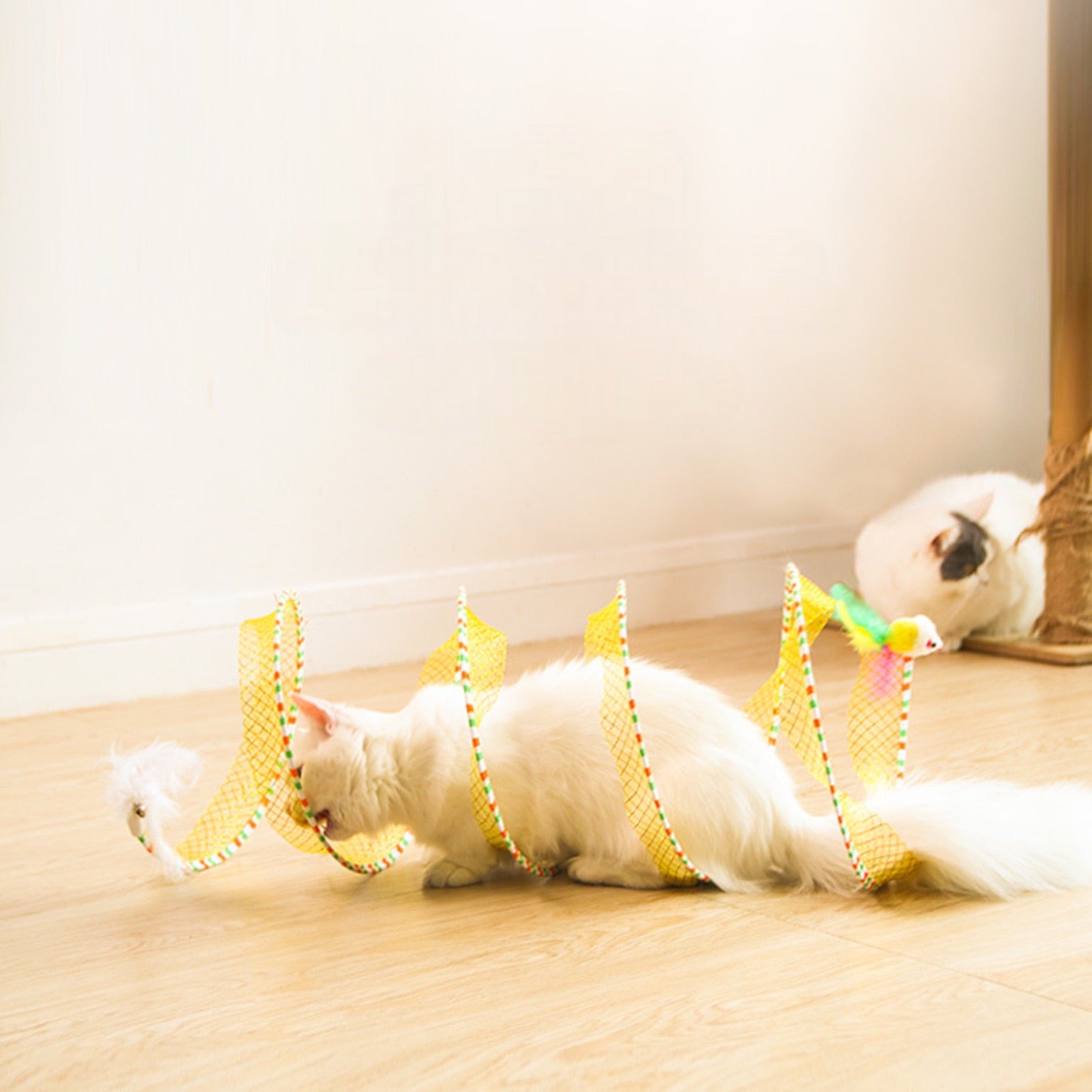 Cat toy outlet tunnel