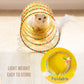 Open Tunnel Cat Toy