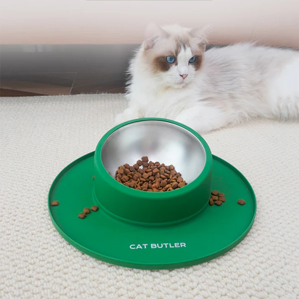 Non-Slip Cat Bowl