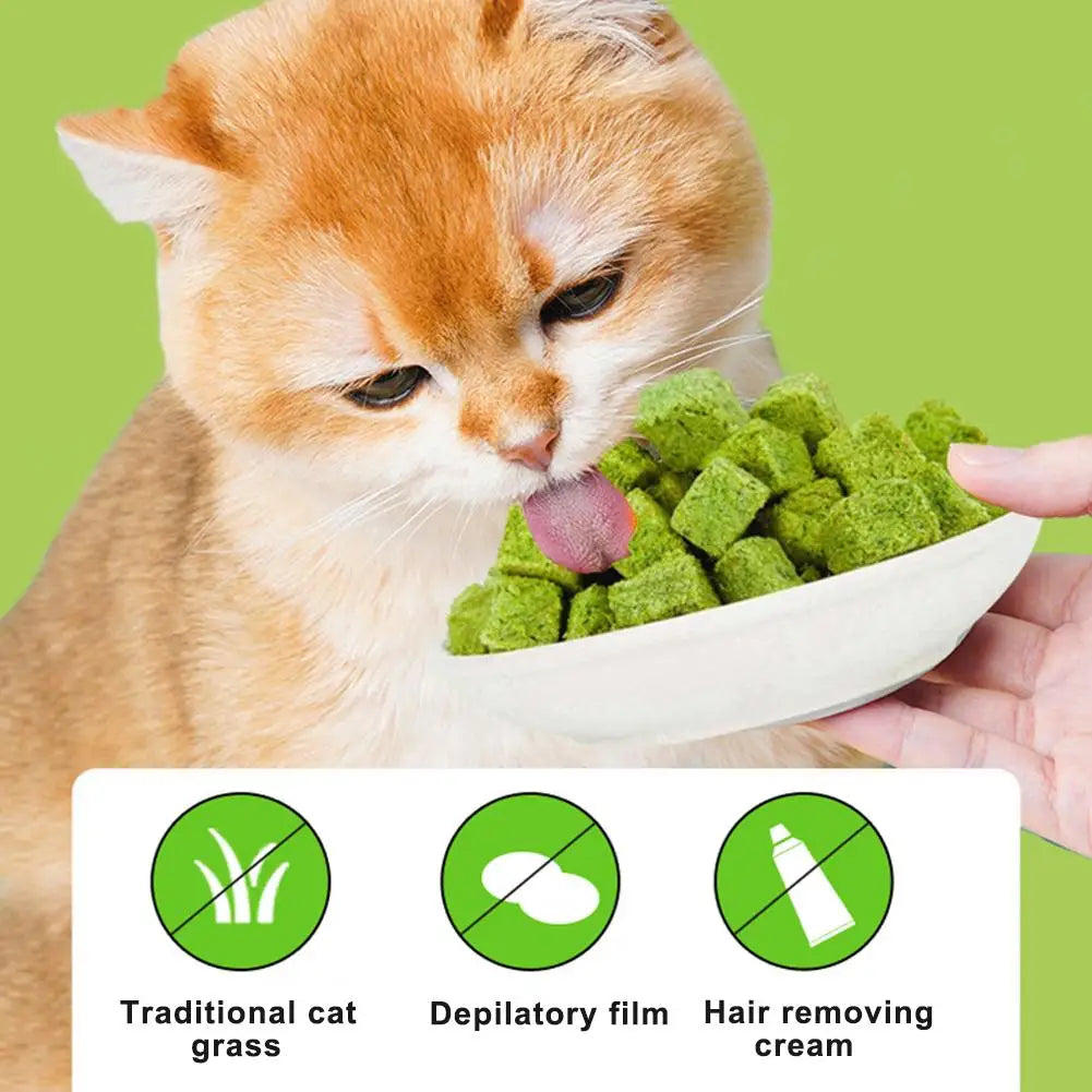 Freeze-Dried Catgrass Biscuits – Hairball Control & Dental Care