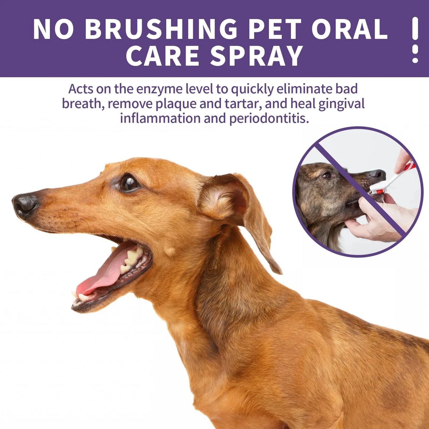 50ml Pet Oral Cleansing Spray for Cats & Dogs