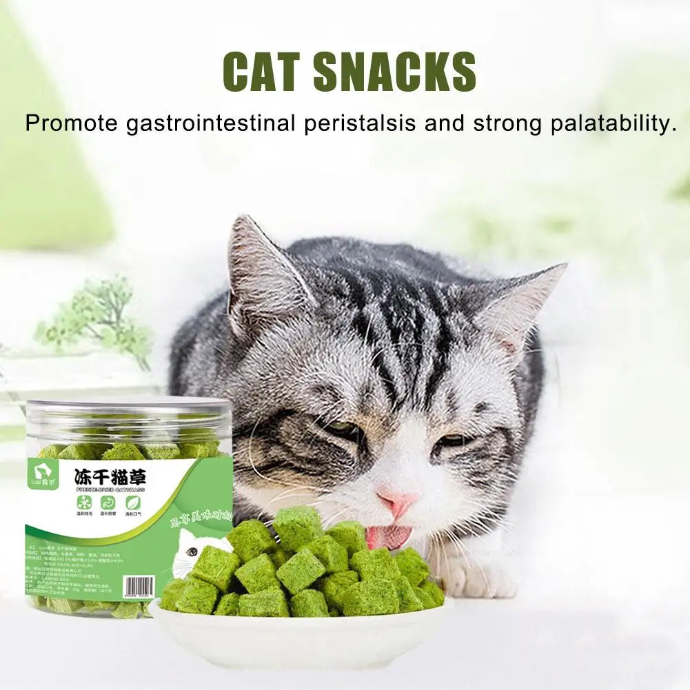 Freeze-Dried Catgrass Biscuits – Hairball Control & Dental Care