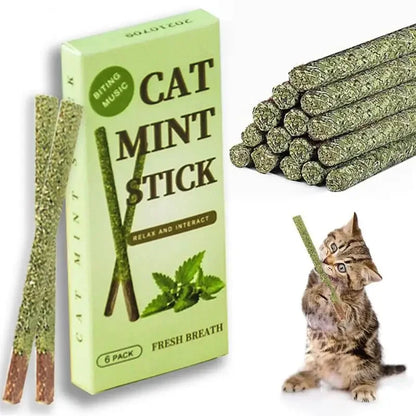 Natural Silvervine Chew Sticks for Cats - 6 Pack - Cat Lovers Boutique