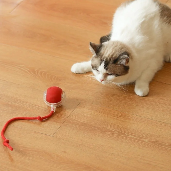 SmartPlay Interactive Cat Ball - Upgraded Edition