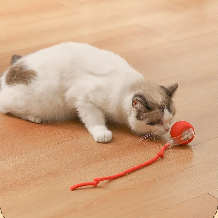 SmartPlay Interactive Cat Ball - Upgraded Edition