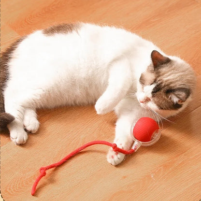 SmartPlay Interactive Cat Ball - Upgraded Edition