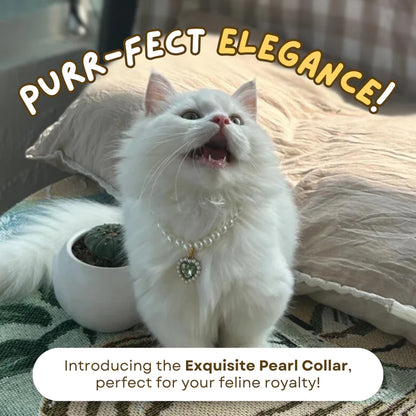 Sparkling Pearl Cat Collar - Cat Lovers Boutique