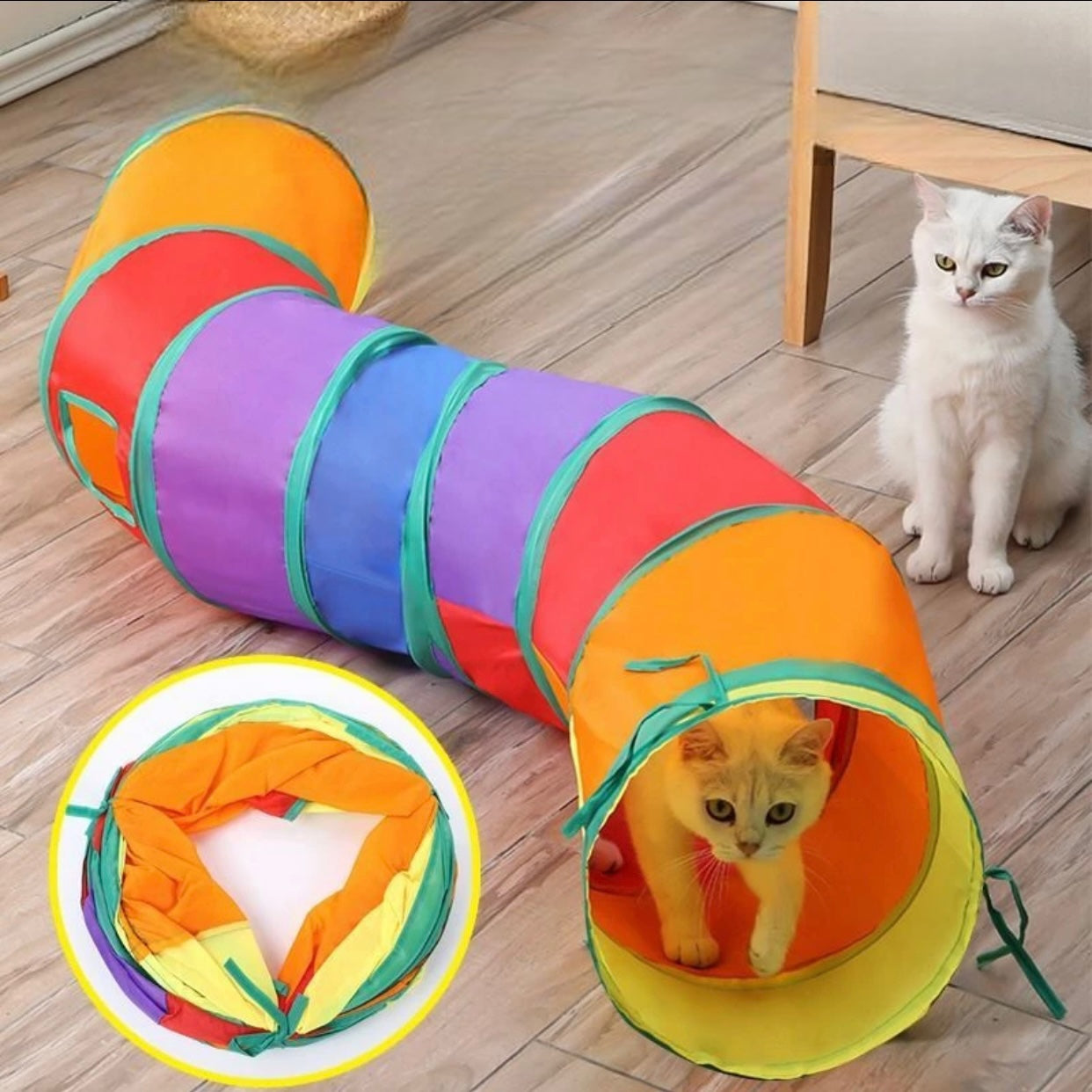 Regenbogen-Katzentunnel 