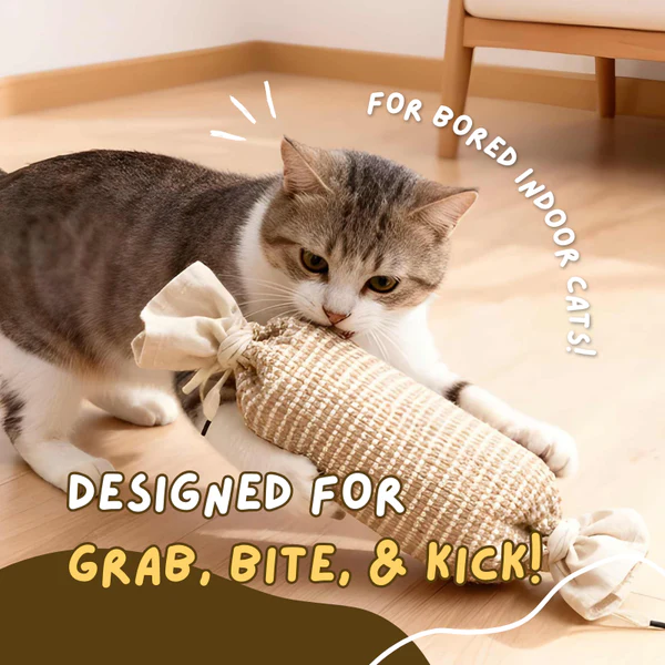 KittyKick™ Cat Kicker Toy – 3 Pack Bundle - Cat Lovers Boutique