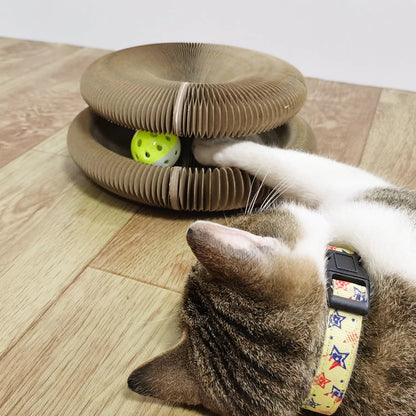 Interactive Cat Toy & Scratching Board - Cat Lovers Boutique