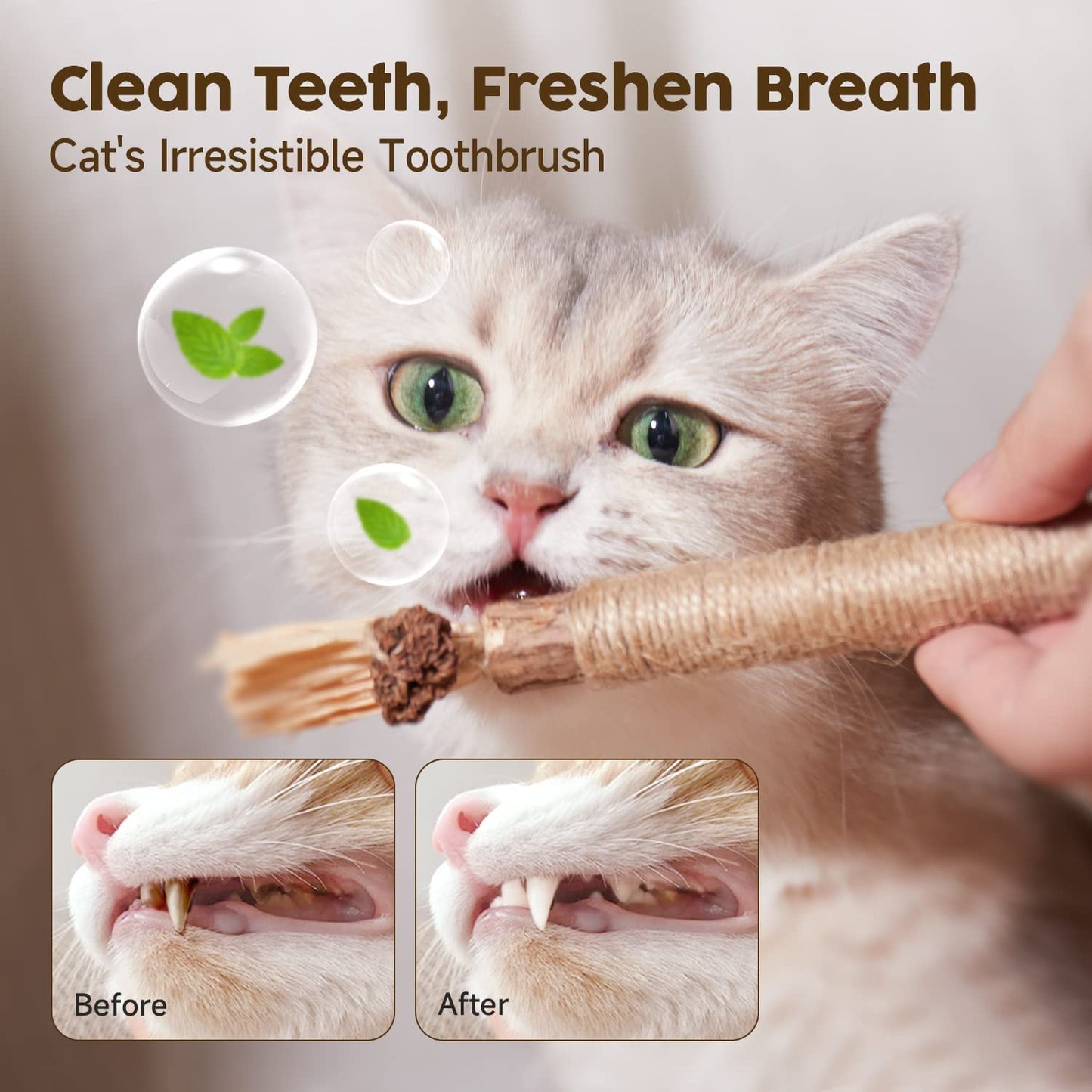 Natural Silvervine Cat Teething Chewing Sticks - Cat Lovers Boutique