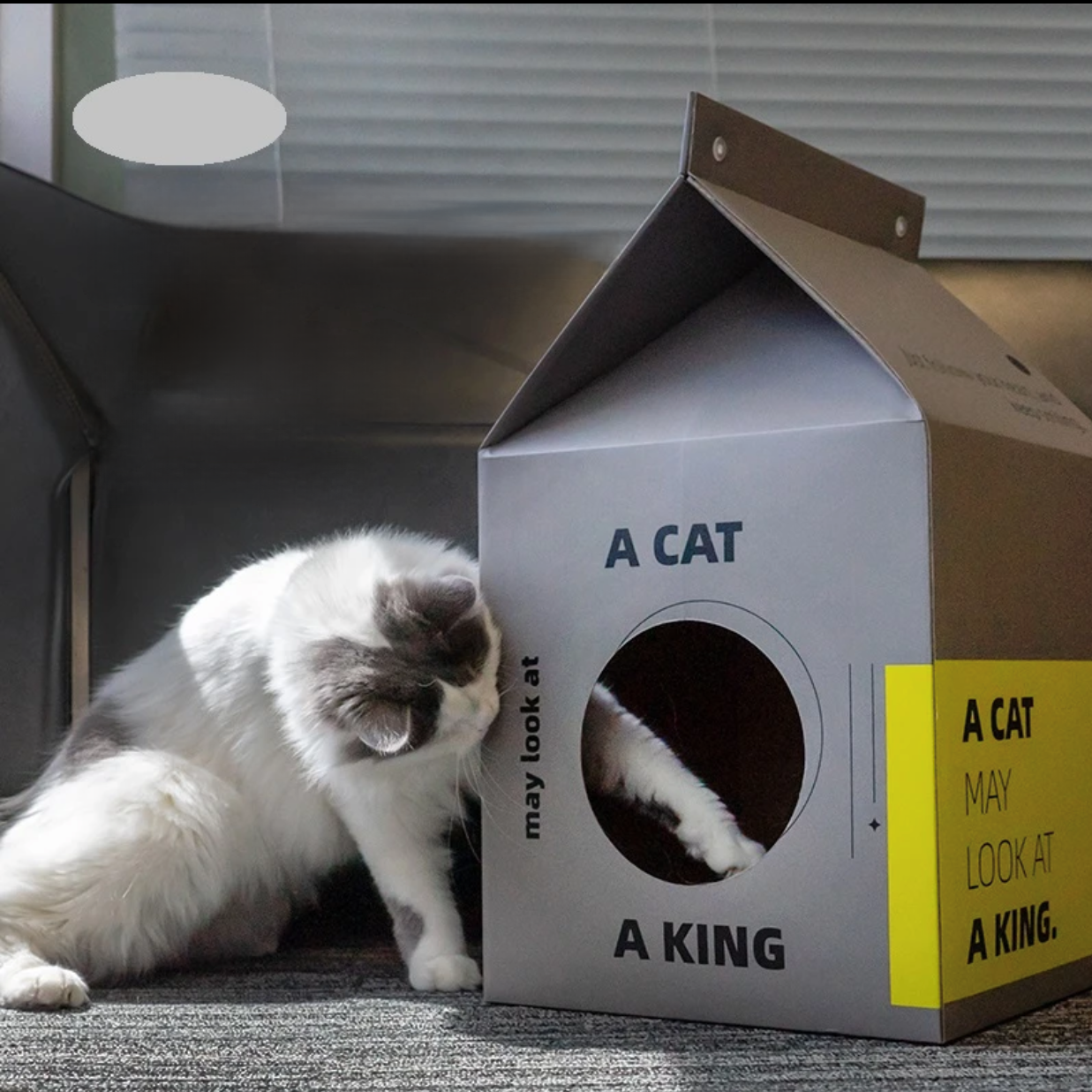 2-in-1 Cardboard Cat House and Scratcher - Cat Lovers Boutique