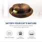Interactive Cat Toy & Scratching Board - Cat Lovers Boutique