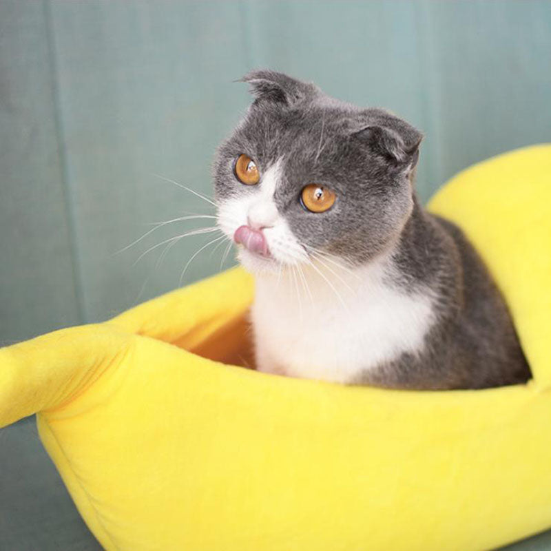 Banana Peel Cat Bed - Cat Lovers Boutique
