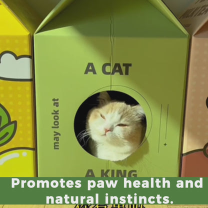 2-in-1 Cardboard Cat House and Scratcher