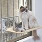 Cordless Cat Window Perch