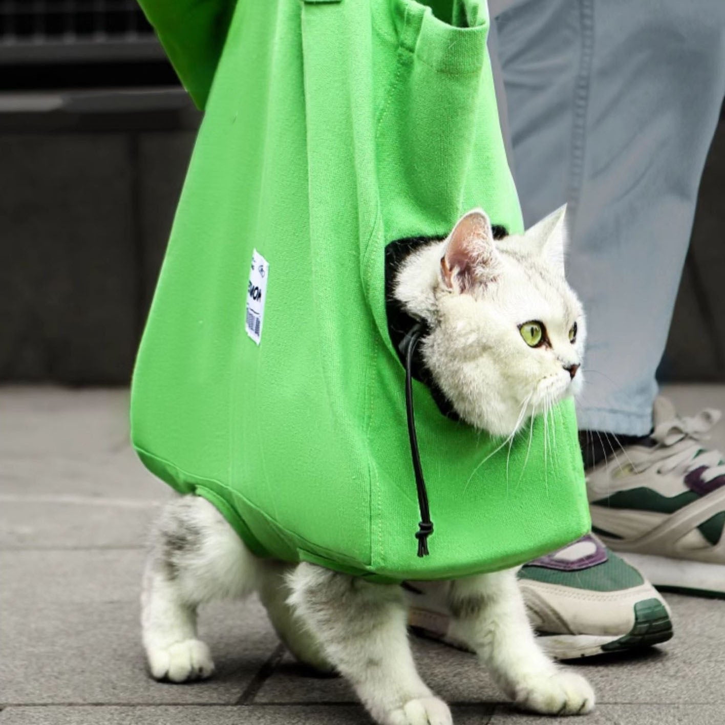 cat weekender bag