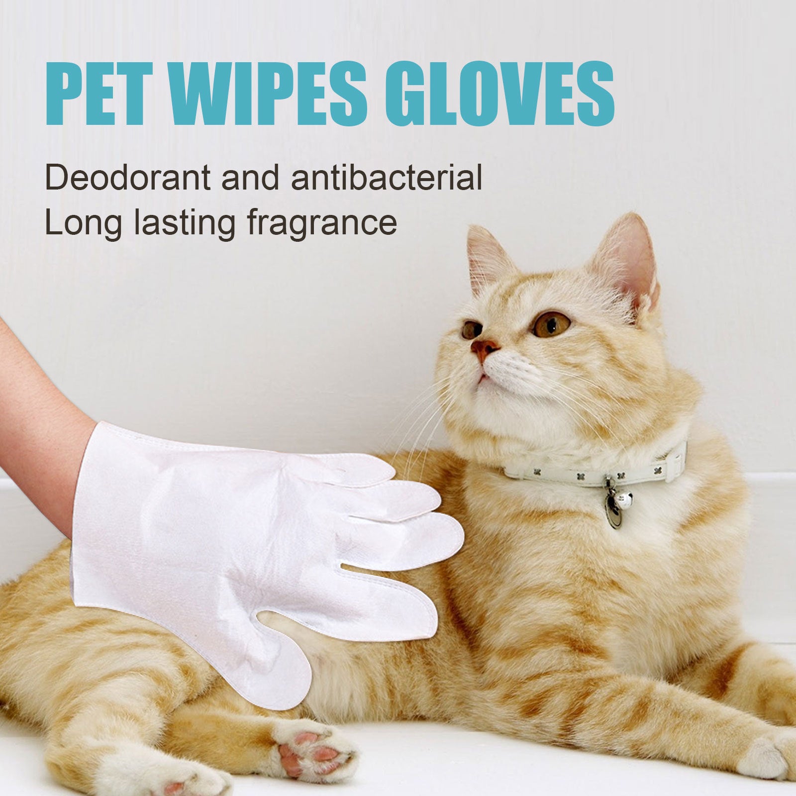 Cat store washing gloves