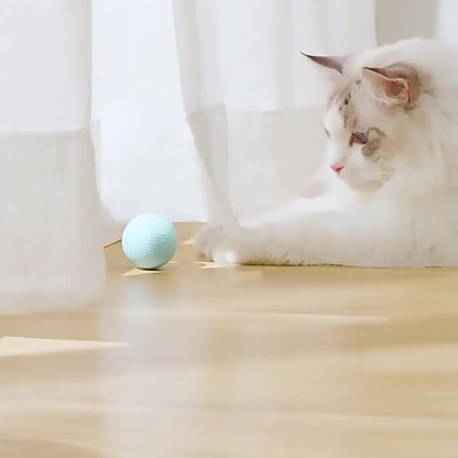 Smart Ball Cat Toy - Cat Lovers Boutique