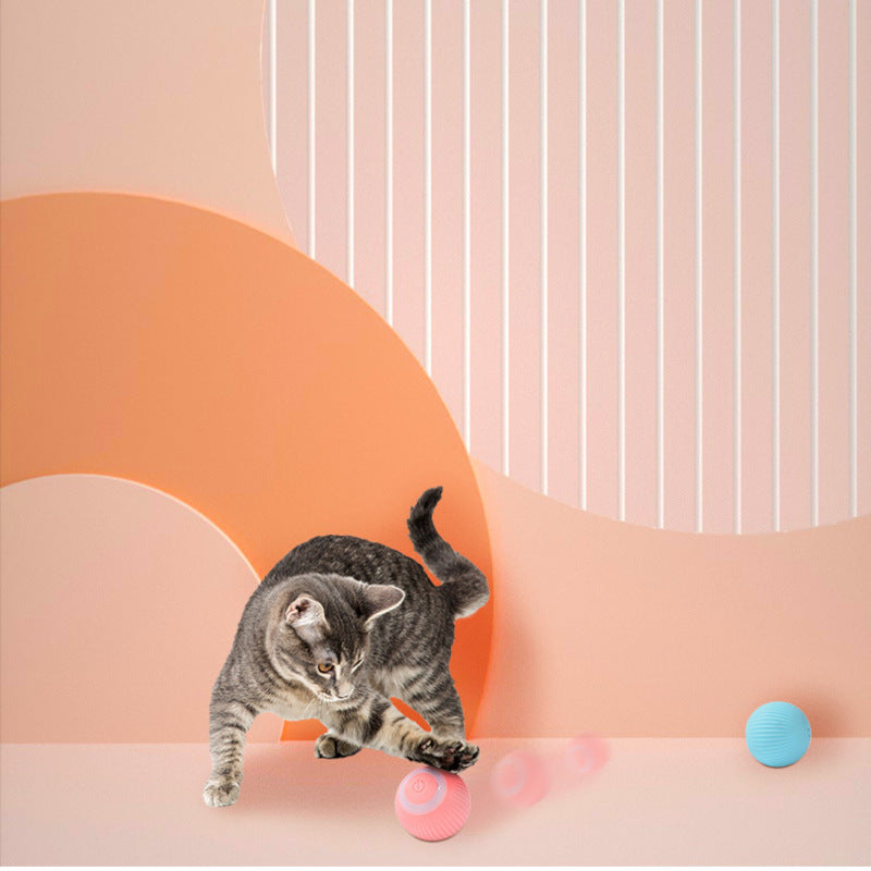 Smart Ball Cat Toy - Cat Lovers Boutique