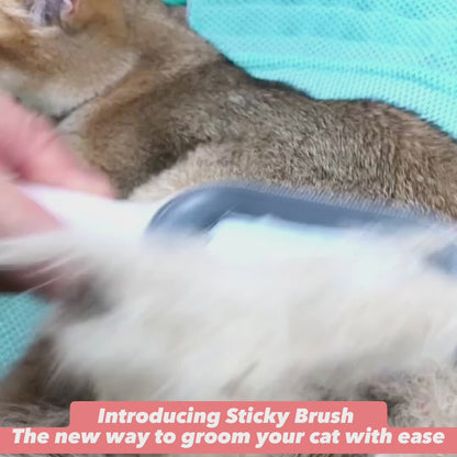 Sticky Brush - The Innovative Pet Hair Capturing Brush