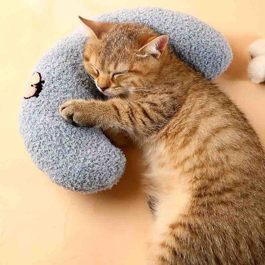 Cozy Cat Pillow - Cat Lovers Boutique