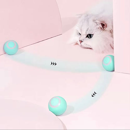 Smart Ball Cat Toy - Cat Lovers Boutique